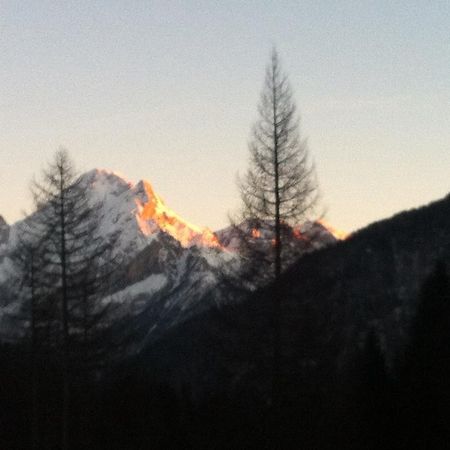 Appartamento Ivo Campitello di Fassa Esterno foto