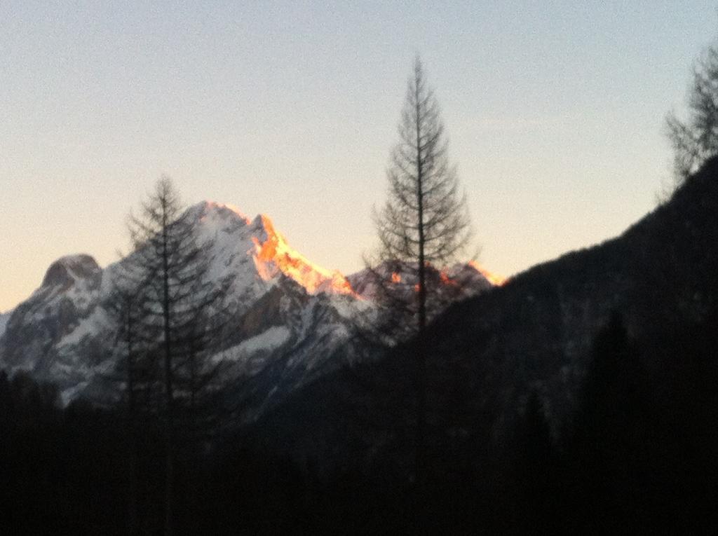 Appartamento Ivo Campitello di Fassa Esterno foto